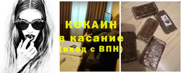 индика Балабаново