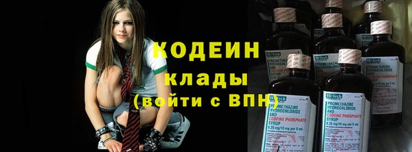 индика Балабаново