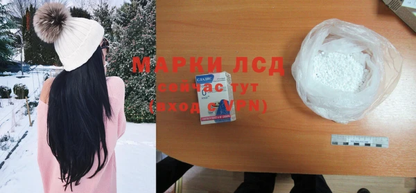 индика Балабаново